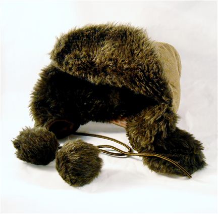 Click for large image