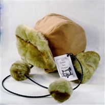 Click for large image