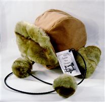 Click for large image